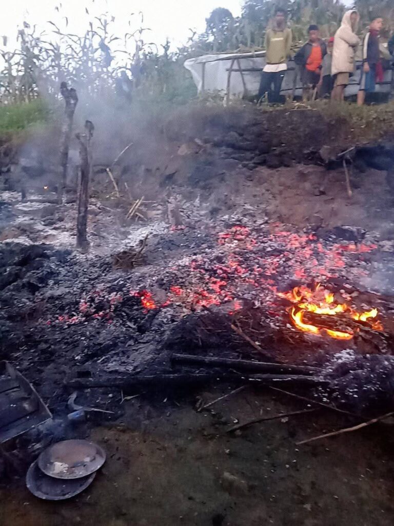 गौमुखीको अर्खामा एक गोठमा आगलागी ः ६ पशुचौपाय गम्भिर