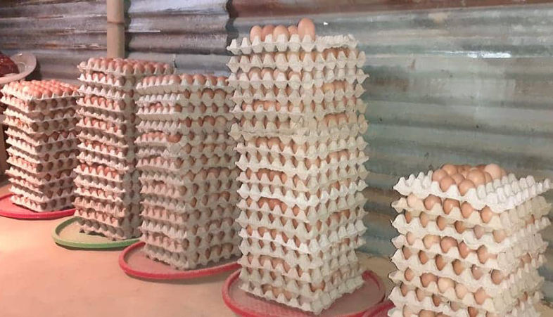 आजदेखि अण्डाको भाउ बढ्यो