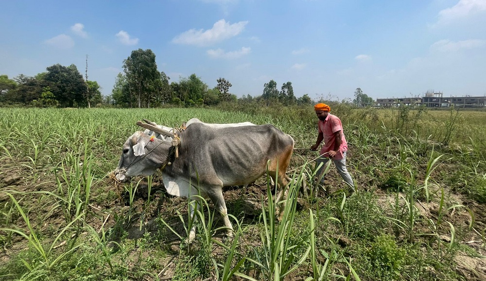 देशभरका २६ लाख किसान सूचीकरण प्रणालीमा आबद्ध